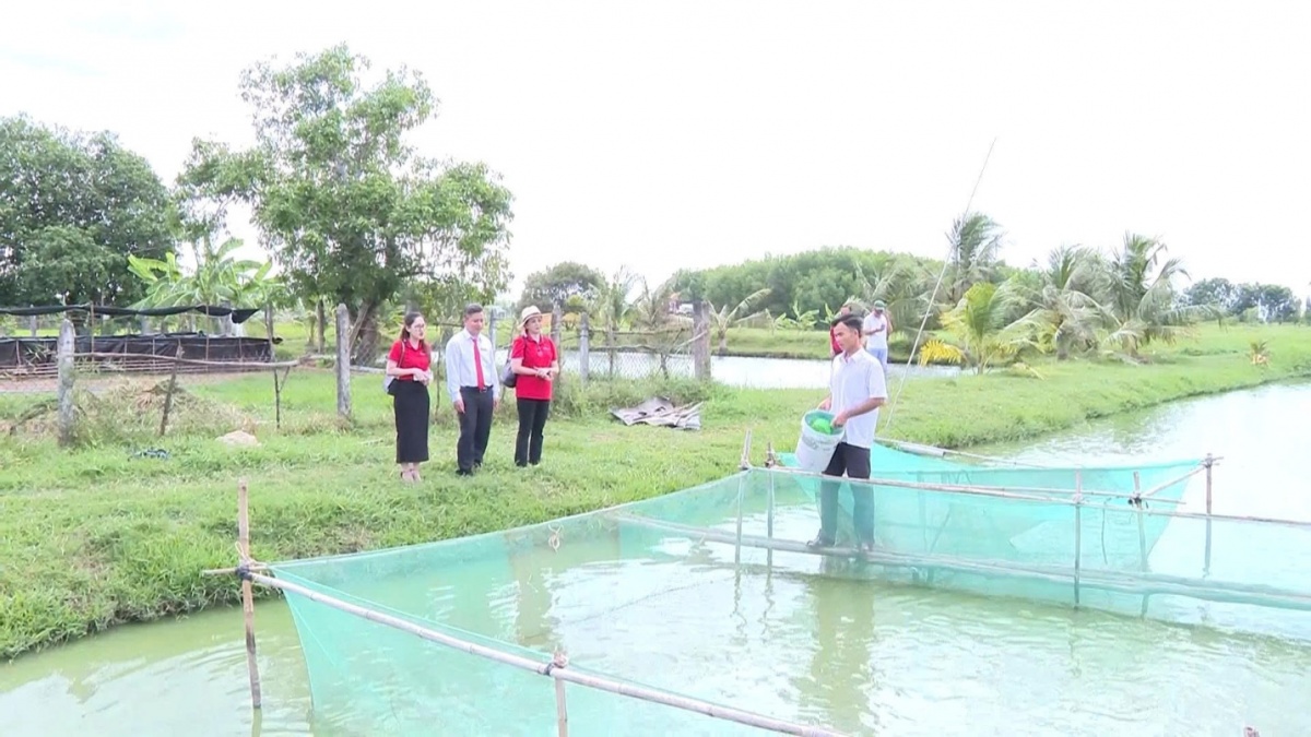 Mô hình nuôi cá rô đầu vuông của anh Lương Văn Nghiệp đang mang lại thu nhập ổn định nhờ sự tiếp sức từ nguồn vốn của Agribank