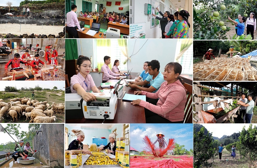 Đảng bộ NHCSXH TW đã lãnh đạo thực hiện thắng lợi, toàn diện các chỉ tiêu Nghị quyết đại hội lần thứ V, nhiệm kỳ 2020 - 2025