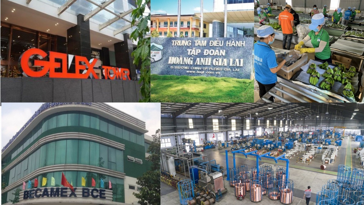 Doanh nghiệp tăng tốc nâng kế hoạch 2025 nhờ vốn đầu tư và vĩ mô thuận lợi Doanh nghiệp tăng tốc nâng kế hoạch 2025 nhờ vốn đầu tư và vĩ mô thuận lợi