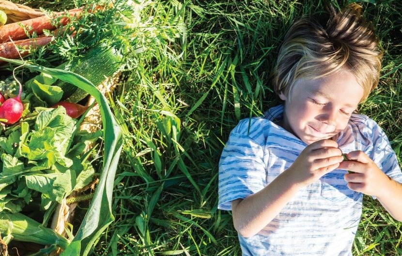 5 lý do nên sử dụng sản phẩm hữu cơ