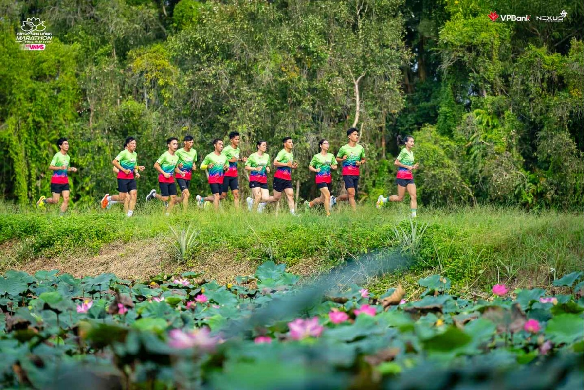 Nâng tầm du lịch Tây Nam Bộ với VPBank Đất Sen Hồng Music Marathon 2025