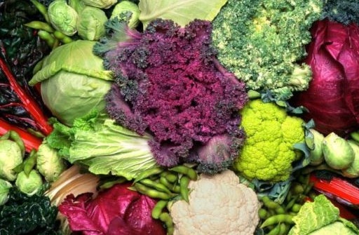 Rau họ cải giúp giảm nguy cơ ung thư đại tràng Rau họ cải giúp giảm nguy cơ ung thư đại tràng