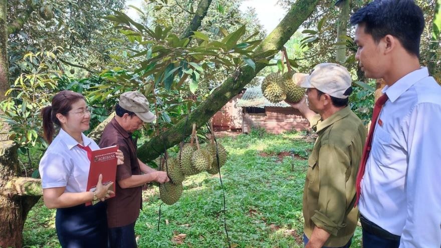 Nhờ có nguồn vốn vay từ Agribank, anh Nguyễn Văn Đức mạnh dạn đầu tư vào vườn cây trồng và trang trại chăn nuôi mang lại thu nhập cao cho gia đình Nhờ có nguồn vốn vay từ Agribank, anh Nguyễn Văn Đức mạnh dạn đầu tư vào vườn cây trồng và trang trại chăn nuôi mang lại thu nhập cao cho gia đình
