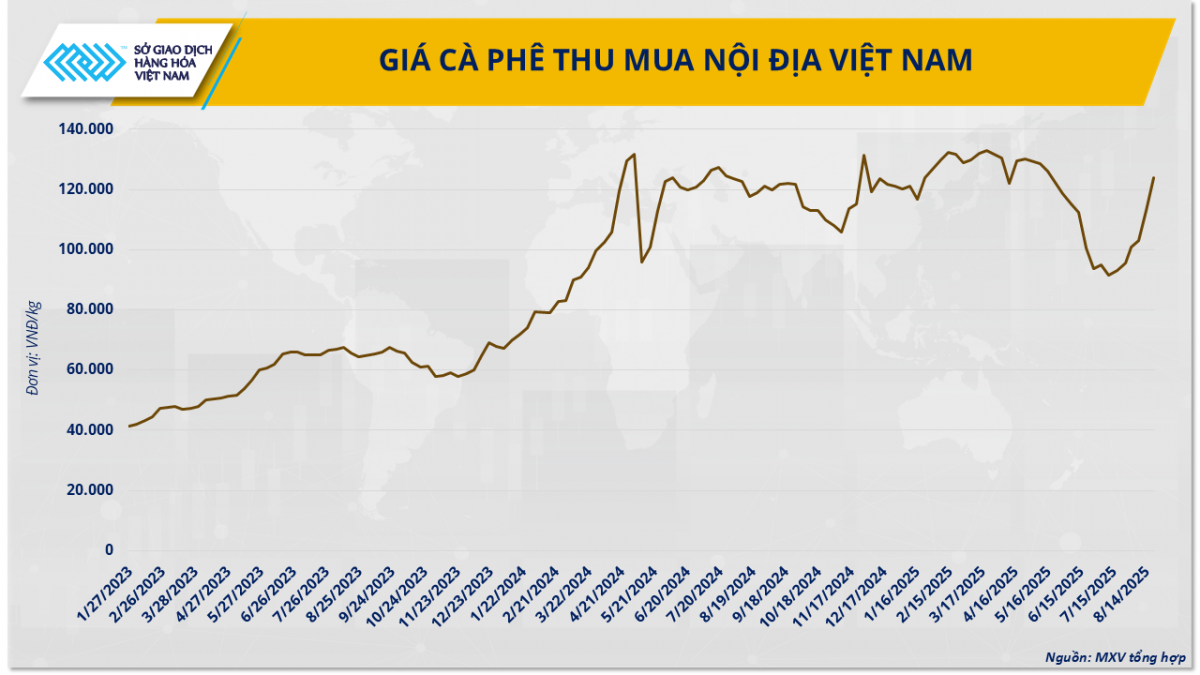 Giá cà-phê thu mua nội địa Việt Nam – Nguồn: MXV tổng hợp Giá cà-phê thu mua nội địa Việt Nam – Nguồn: MXV tổng hợp