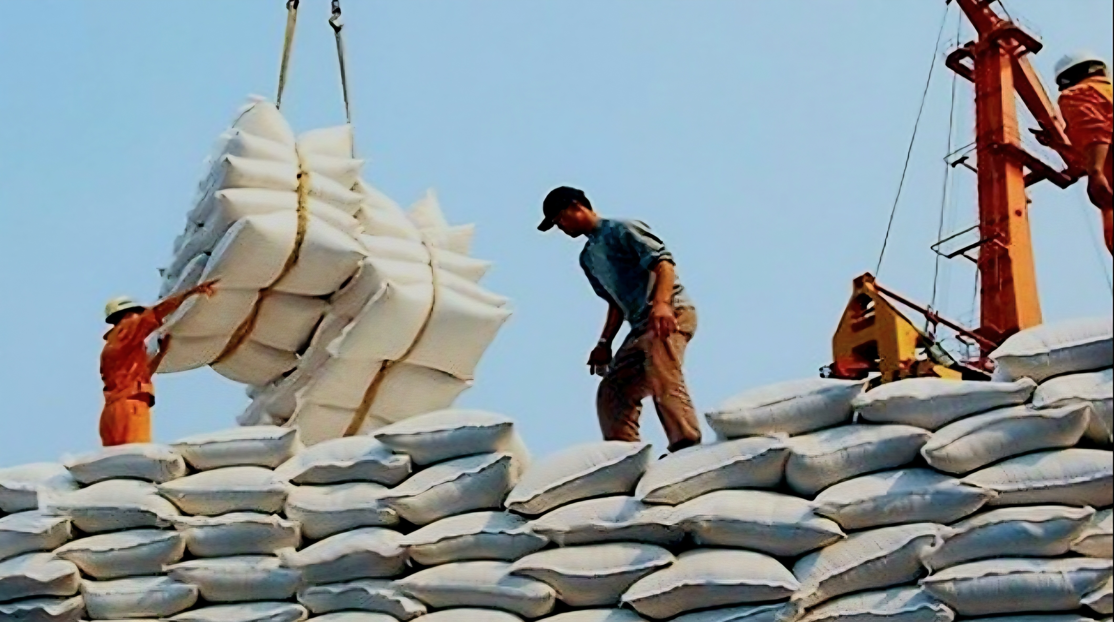 gạo tiếp tục là điểm sáng khi xuất khẩu đạt gần 6,2 triệu tấn gạo tiếp tục là điểm sáng khi xuất khẩu đạt gần 6,2 triệu tấn