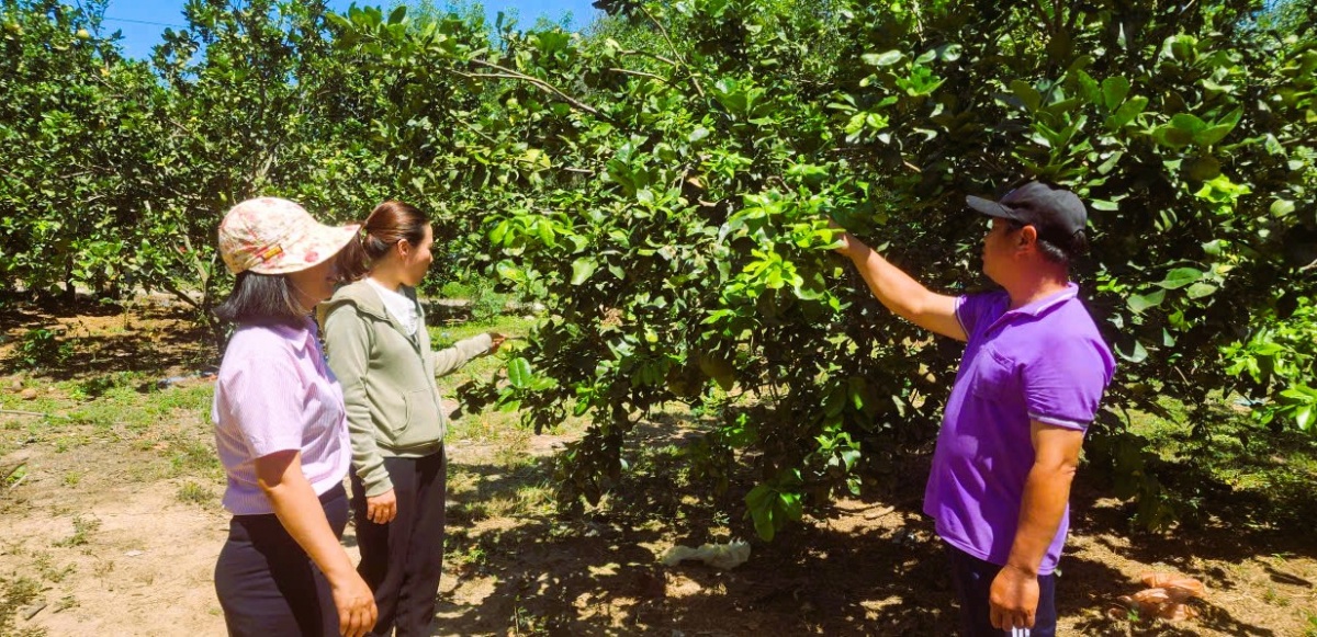 Tín dụng ưu đãi trên xứ Trầm Hương