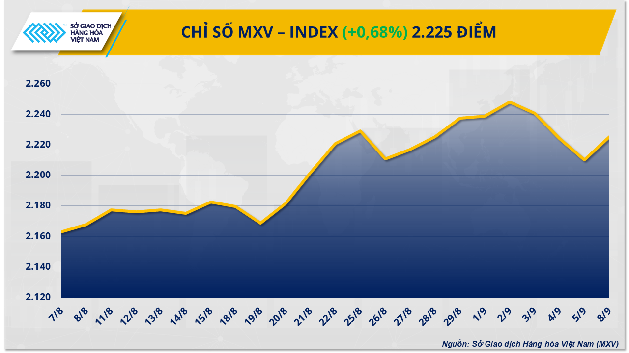 Chỉ số MXV-Index quay đầu phục hồi sau ba phiên suy yếu liên tiếp