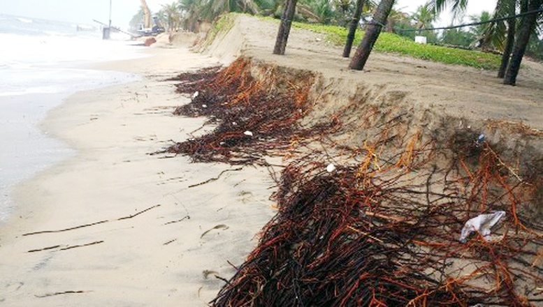 Chủ động ứng phó xói lở bờ biển Trung Trung Bộ Chủ động ứng phó xói lở bờ biển Trung Trung Bộ