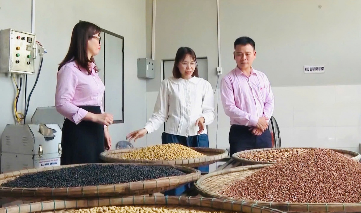 Các cấp hội phụ nữ ở Đà Nẵng đã và đang đóng vai trò “cầu nối” gần gũi, giúp nhiều chị em có cơ hội tiếp cận nguồn vốn ưu đãi.