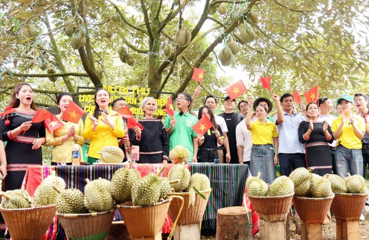 Thấy gì từ nữ bí thư xã livestream bán sầu riêng? Thấy gì từ nữ bí thư xã livestream bán sầu riêng?