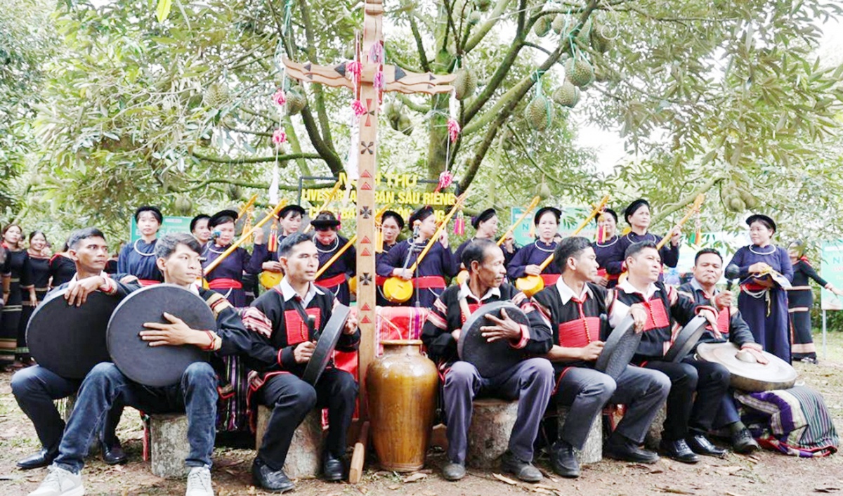 Thấy gì từ nữ bí thư xã livestream bán sầu riêng? Thấy gì từ nữ bí thư xã livestream bán sầu riêng?