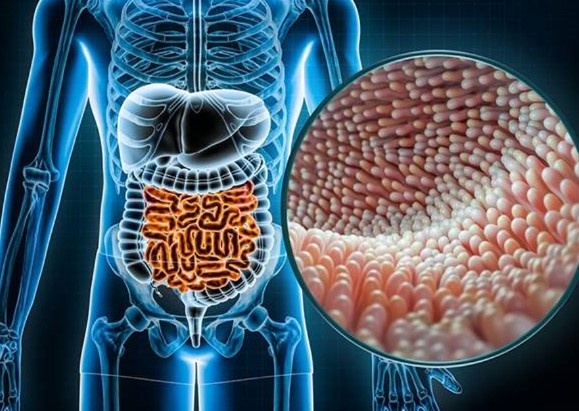 Đột phá trong điều trị viêm ruột