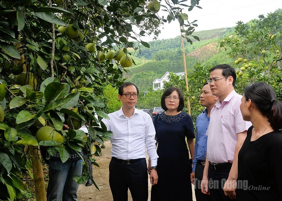 Phó Vụ trưởng Vụ Định chế tài chính Nguyễn Việt Hưng (ngoài cùng bên trái) cùng đoàn công tác thăm mô hình vay vốn phát triển kinh tế gia đình anh Nguyễn Văn Minh ở thôn Soi Hà, xã Xuân Vân Phó Vụ trưởng Vụ Định chế tài chính Nguyễn Việt Hưng (ngoài cùng bên trái) cùng đoàn công tác thăm mô hình vay vốn phát triển kinh tế gia đình anh Nguyễn Văn Minh ở thôn Soi Hà, xã Xuân Vân