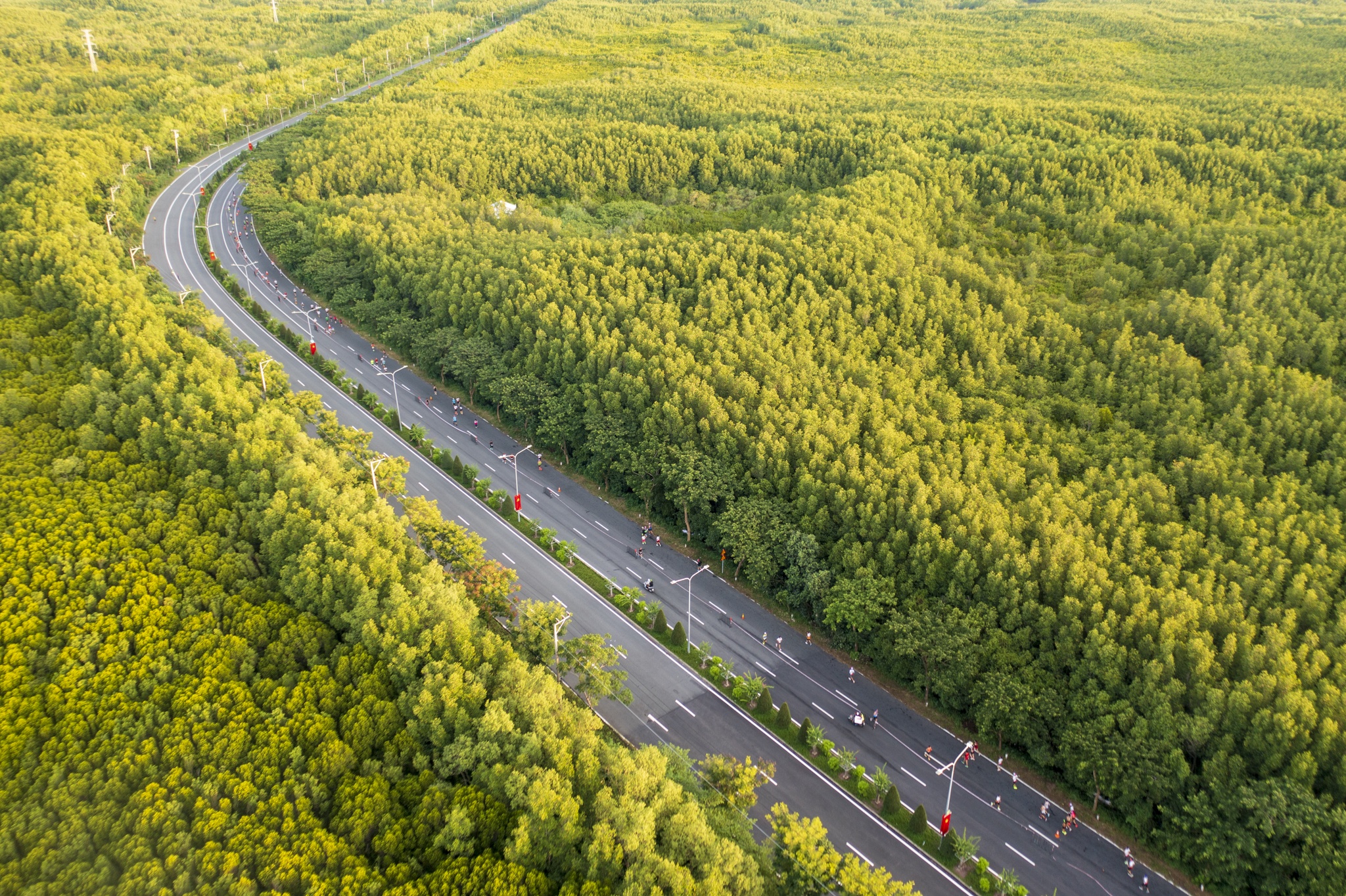 Cung đường marathon uốn lượn giữa rừng ngập mặn xanh mát bất tận