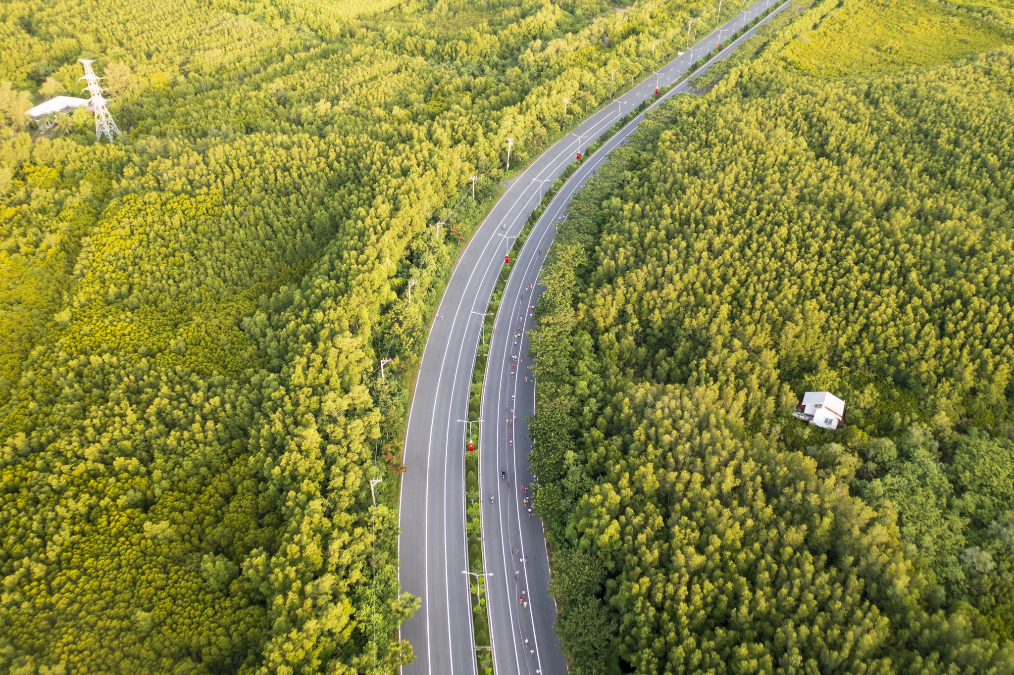 HDBank Green Marathon 2025 mở lối “đường chạy xanh” độc đáo