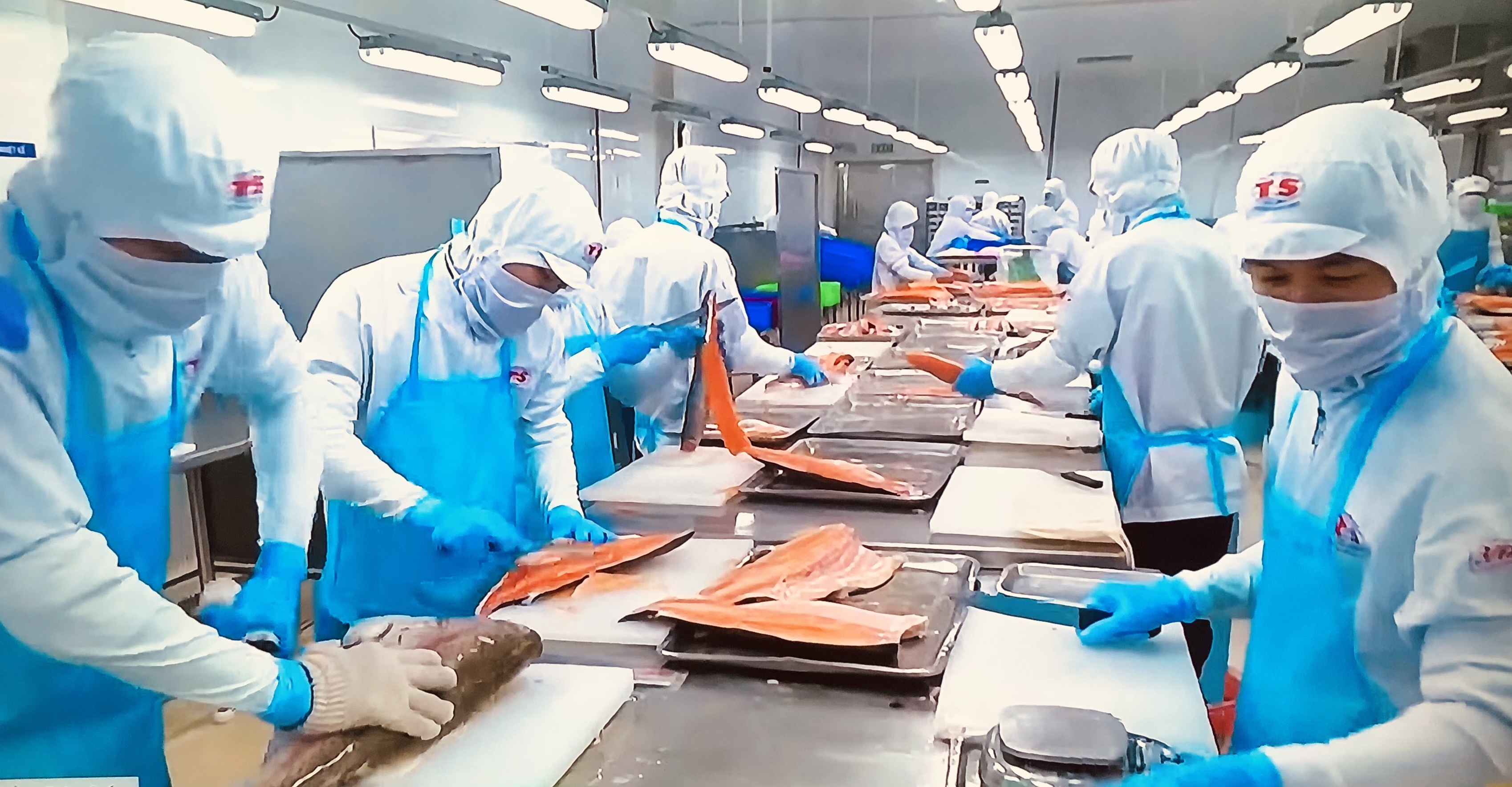 siết chặt khâu kiểm nghiệm tiền xuất khẩu siết chặt khâu kiểm nghiệm tiền xuất khẩu