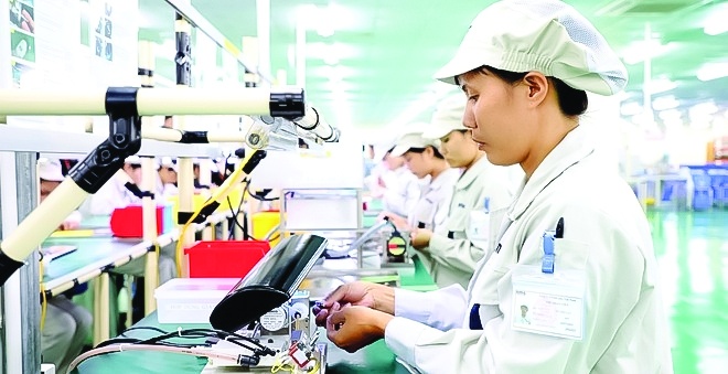 Đầu tư công nghệ và tăng cường liên kết thị trường là then chốt để xây dựng chuỗi giá trị bền vững