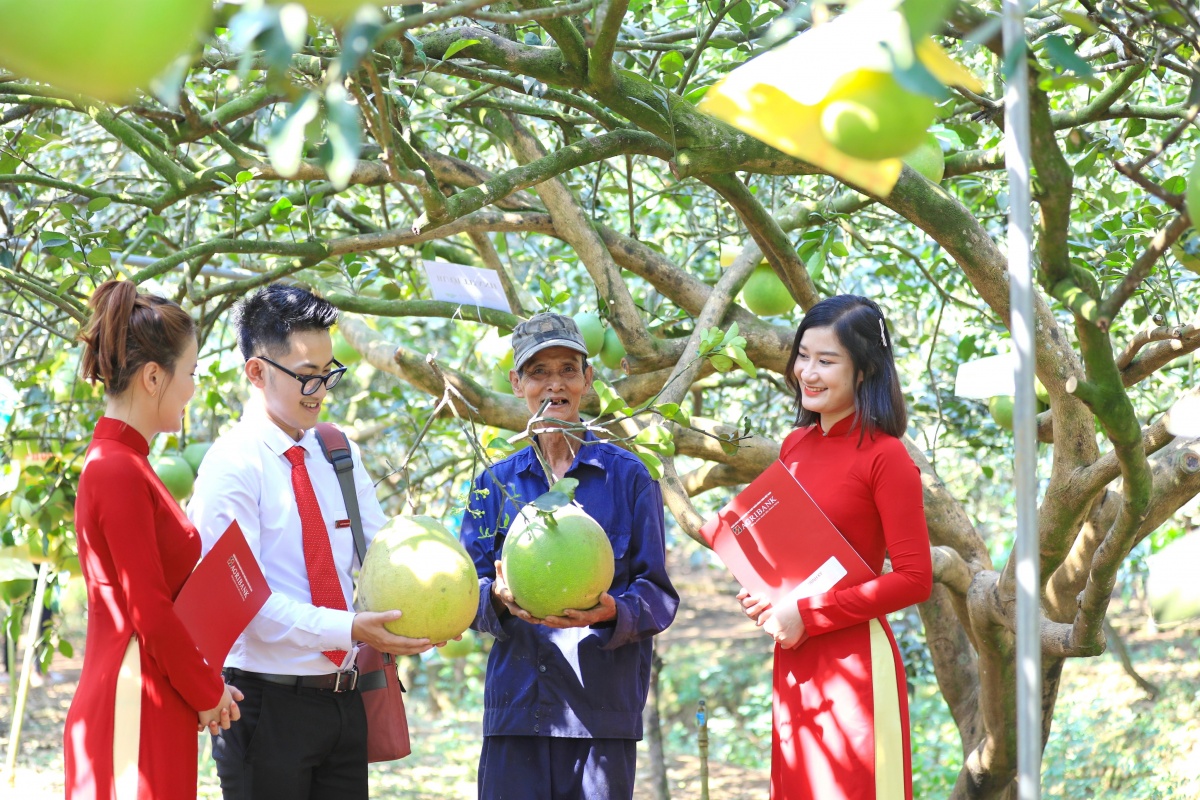 Agribank đẩy mạnh phát triển bền vững qua các gói tín dụng xanh ưu đãi