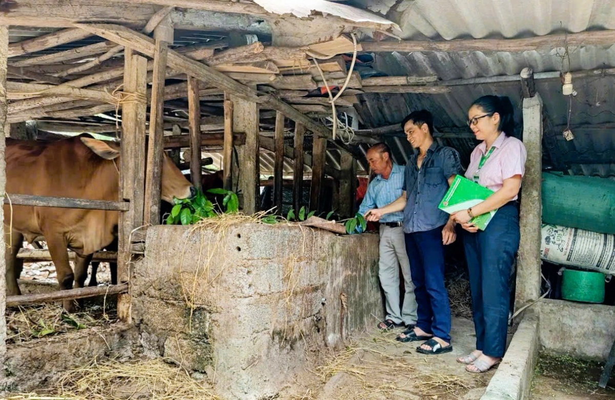 Nguồn vốn tín dụng chính sách không chỉ giúp bà con an cư mà còn có cơ hội phát triển sinh kế, nâng cao đời sống.