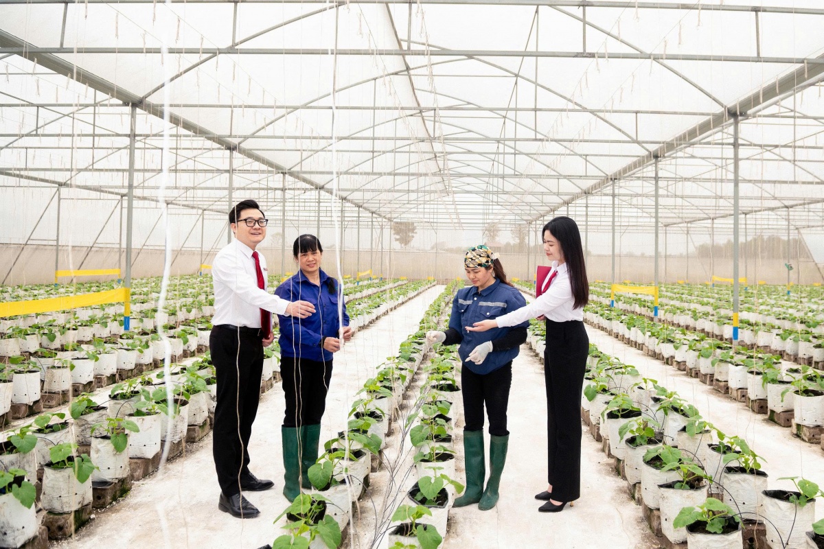 Agribank đẩy mạnh cơ cấu mạng lưới, tạo dư địa phát triển nông nghiệp, nông thôn, nông dân