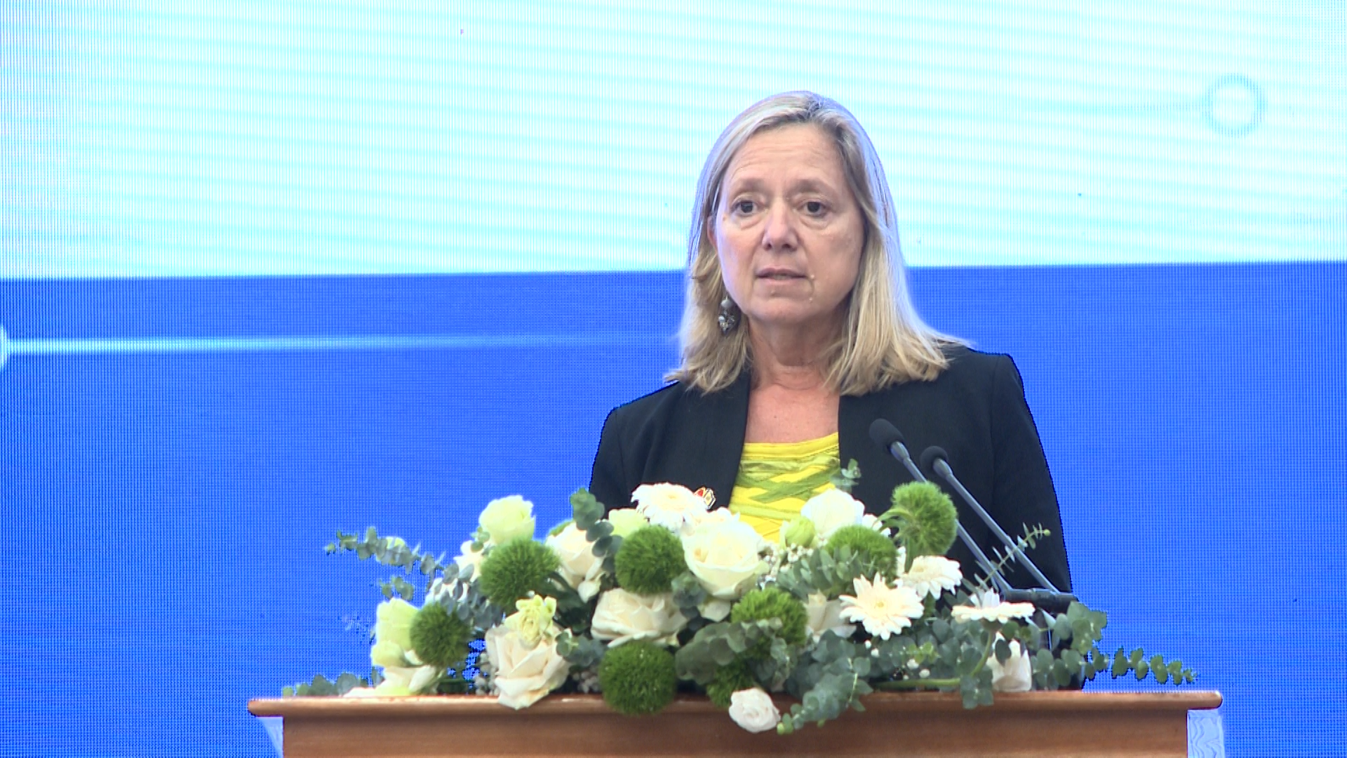 Bà Mariam J. Sherman, Giám đốc WB tại Việt Nam, Campuchia, Lào, khẳng định, WB hoan nghênh cam kết của Chính phủ Việt Nam trong việc phát huy khoa học, công nghệ và đổi mới sáng tạo như một động lực tăng trưởng mới - Ảnh: VG