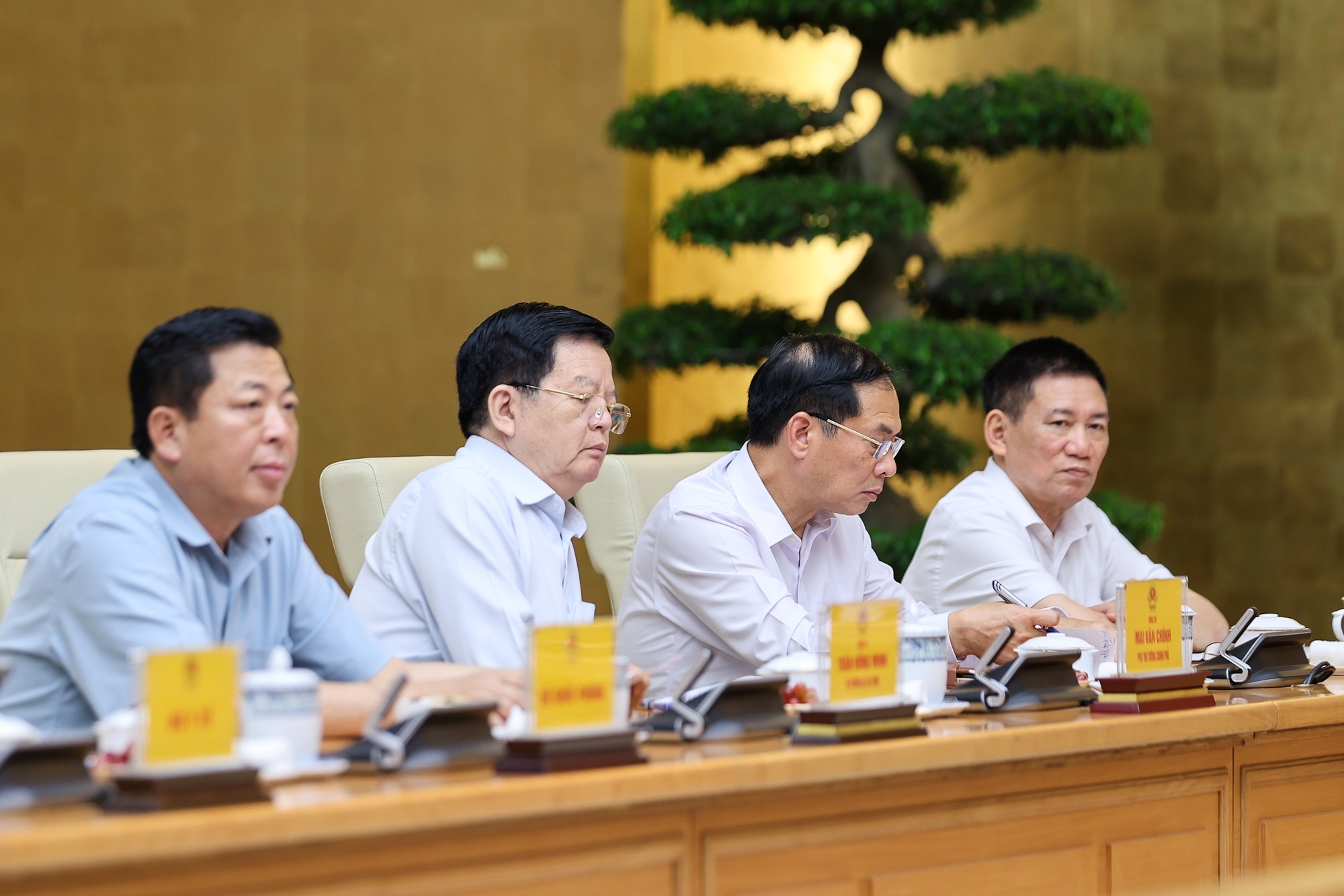 Các Phó Thủ tướng và đại biểu tham dự cuộc họp - Ảnh: VGP/Nhật Bắc