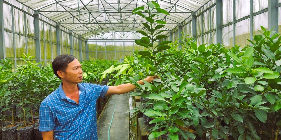 Tín dụng xanh đã và đang hỗ trợ phát triển nông nghiệp sạch, hữu cơ, ứng dụng công nghệ cao ở Hà Tĩnh.