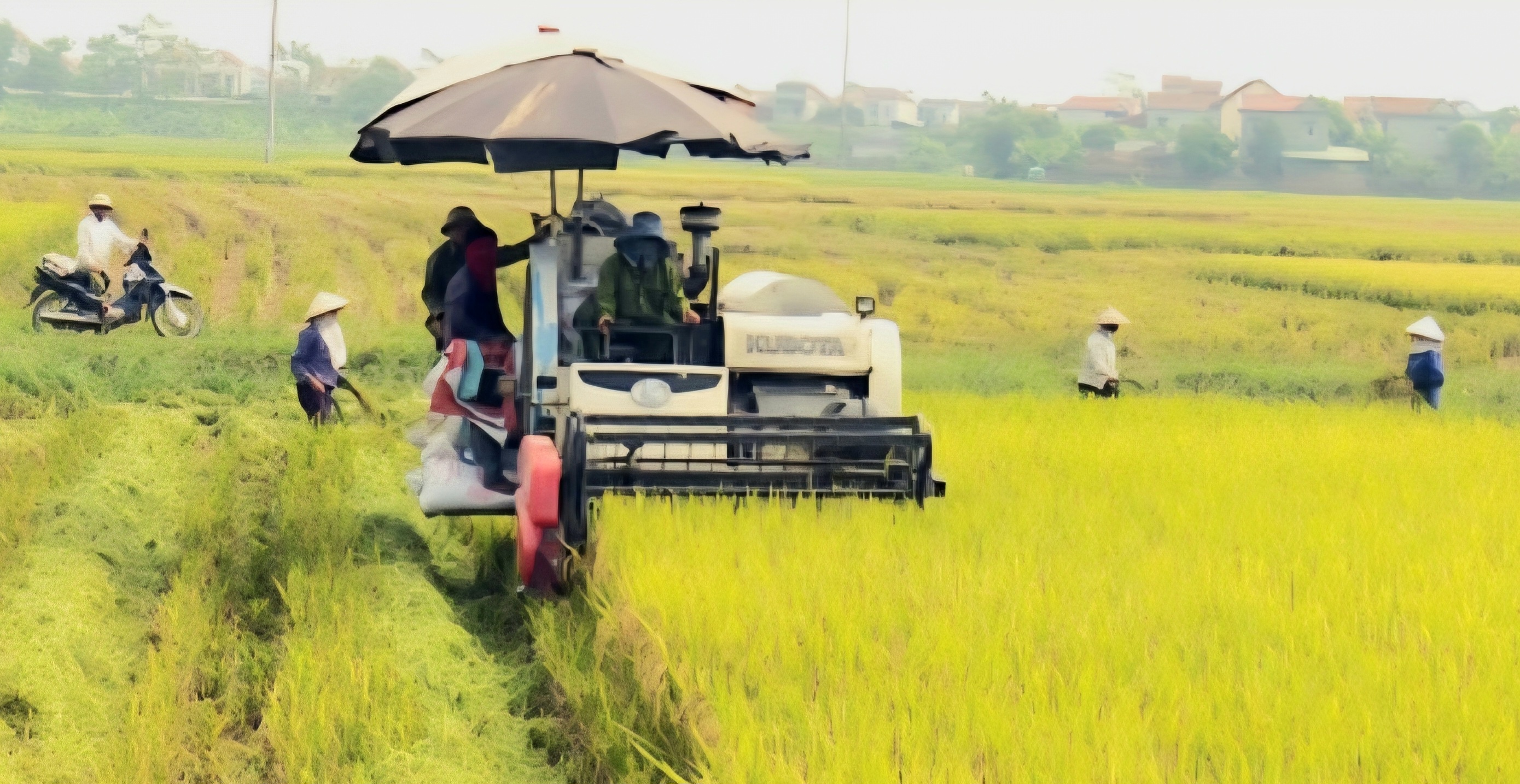 khoảng 60 - 70% máy móc, thiết bị nông nghiệp vẫn phải nhập khẩu