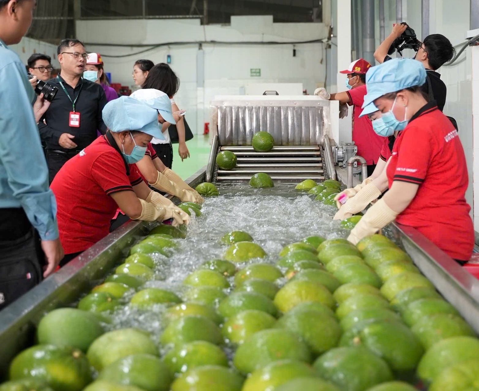 Company Tour tại Vina T&T Group là mô hình kết nối “tứ giác” gồm nông dân, doanh nghiệp, nhà trường, truyền thông để nâng tầm chuỗi giá trị trái cây Việt