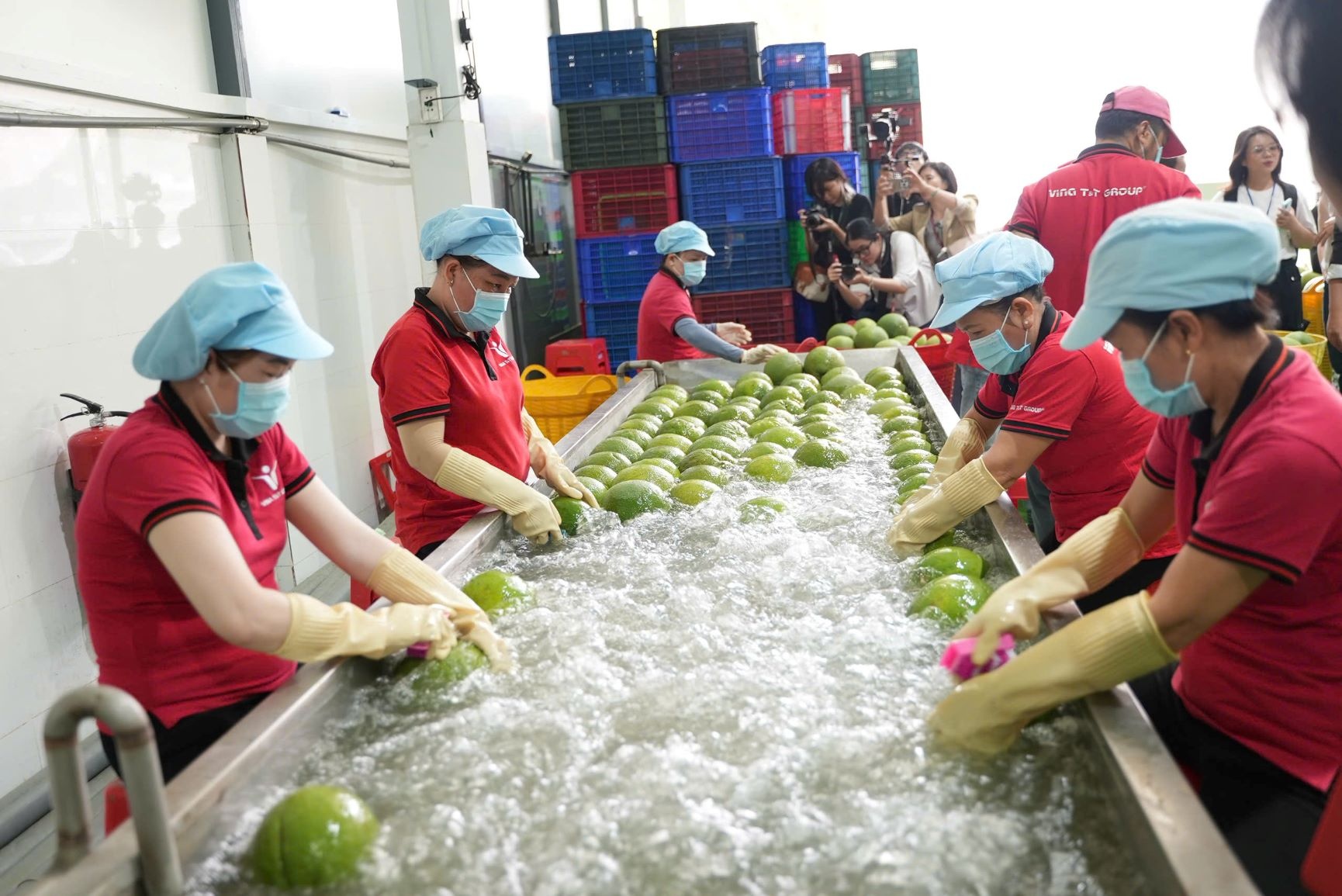 Nông dân, sinh viên và giới truyền thông tìm hiểu quy trình hợp tác để trái cây Việt tại Vina T&T đạt tiêu chuẩn xuất khẩu vào các thị trường khó tính như Mỹ.