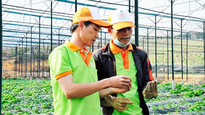 Khởi nghiệp xanh thành công cần phải quy tụ được những hạt nhân “tốt” Khởi nghiệp xanh thành công cần phải quy tụ được những hạt nhân “tốt”