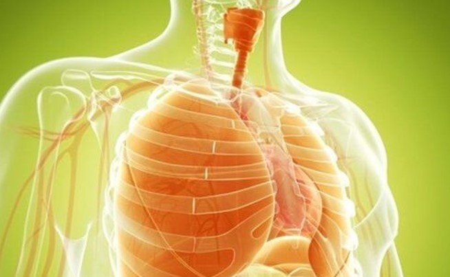 Tập thở đúng cách tăng cường sức khỏe phổi và hệ hô hấp Tập thở đúng cách tăng cường sức khỏe phổi và hệ hô hấp