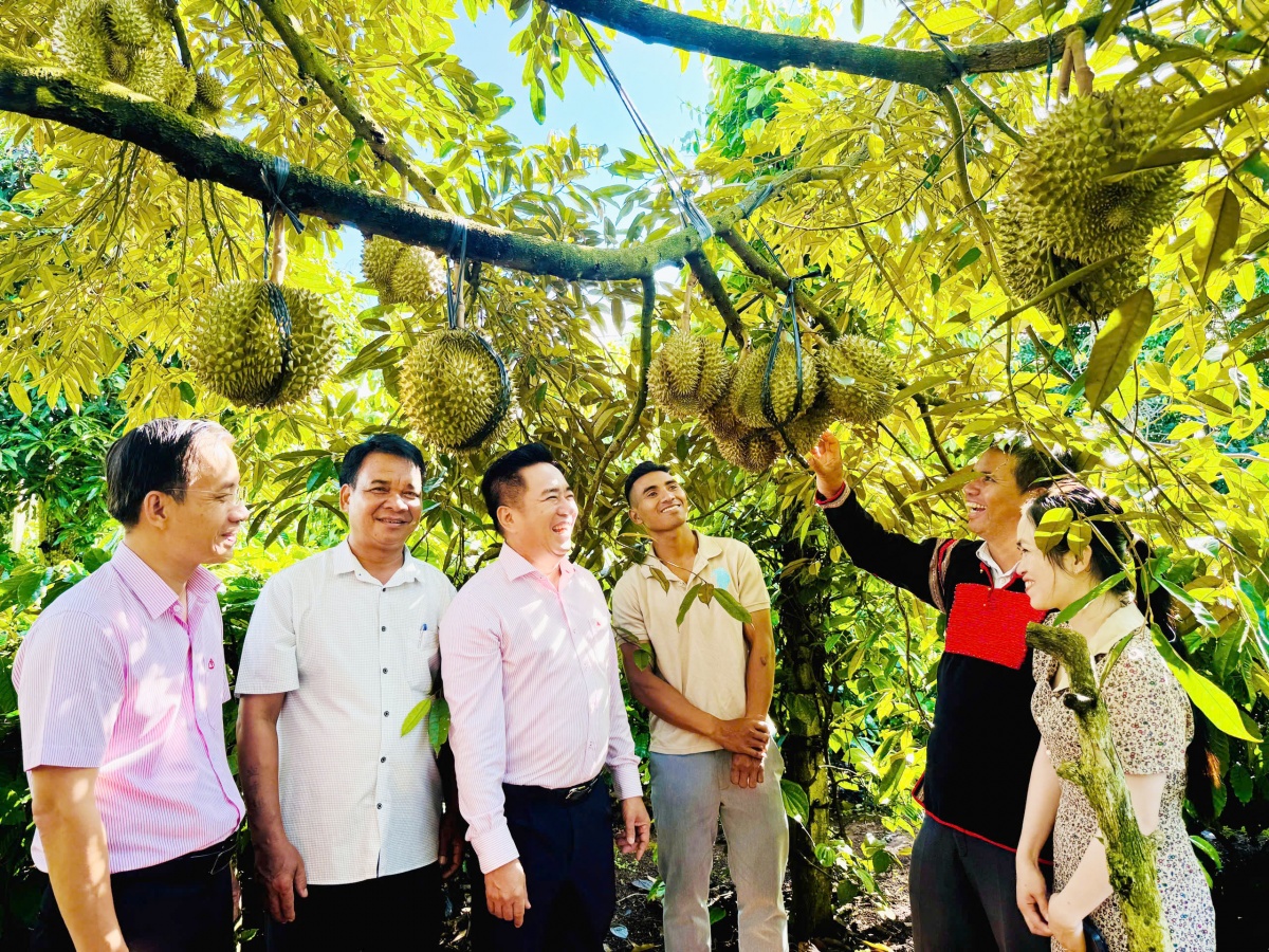 Tín dụng chính sách - điểm tựa vững chắc cho an sinh xã hội ở Đắk Lắk