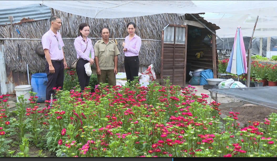 Chi nhánh NHCSXH TP. Hồ Chí Minh mở rộng quy mô, hướng tới phát triển bền vững