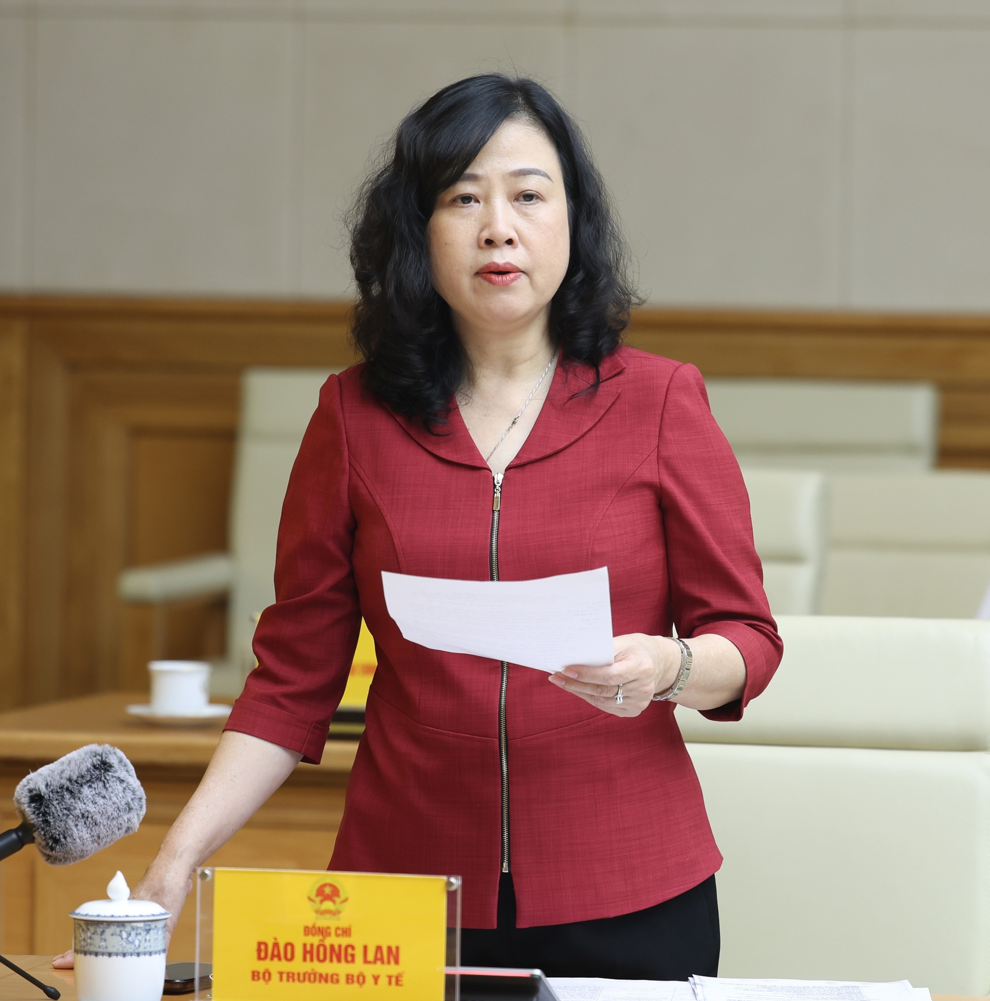Bộ trưởng Bộ Y tế Đào Hồng Lan phát biểu tại cuộc họp - Ảnh: VGP/Đức Tuân