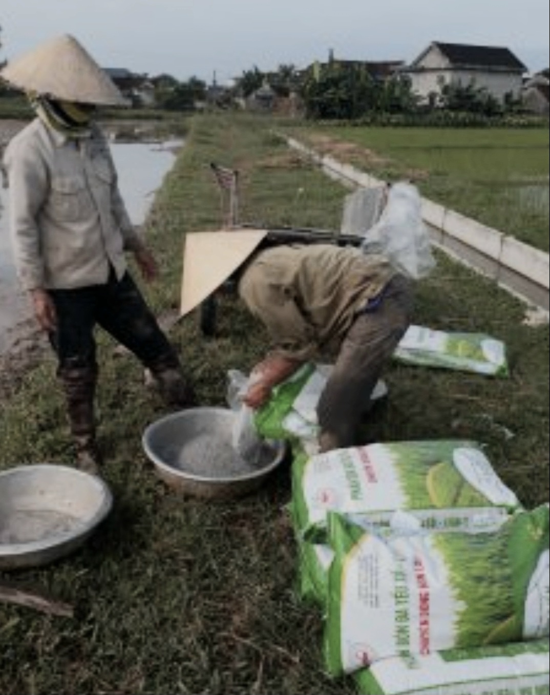 cần thêm các cơ chế hỗ trợ như giảm thuế, trợ giá hoặc tín dụng ưu đãi để phân hữu cơ có sức cạnh tranh trên thị trường