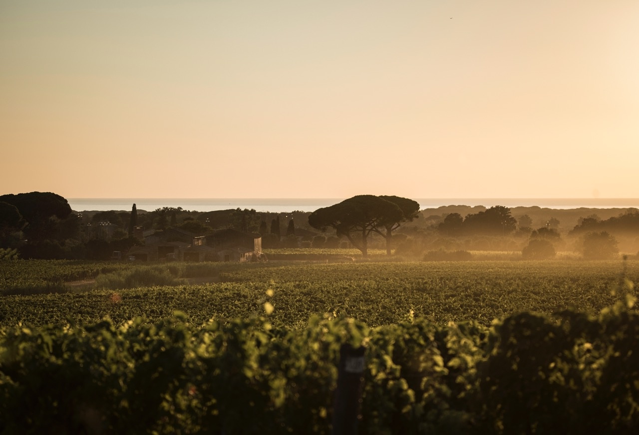 Maserati Grecale bản đặc biệt tôn vinh tinh hoa rượu vang Ý