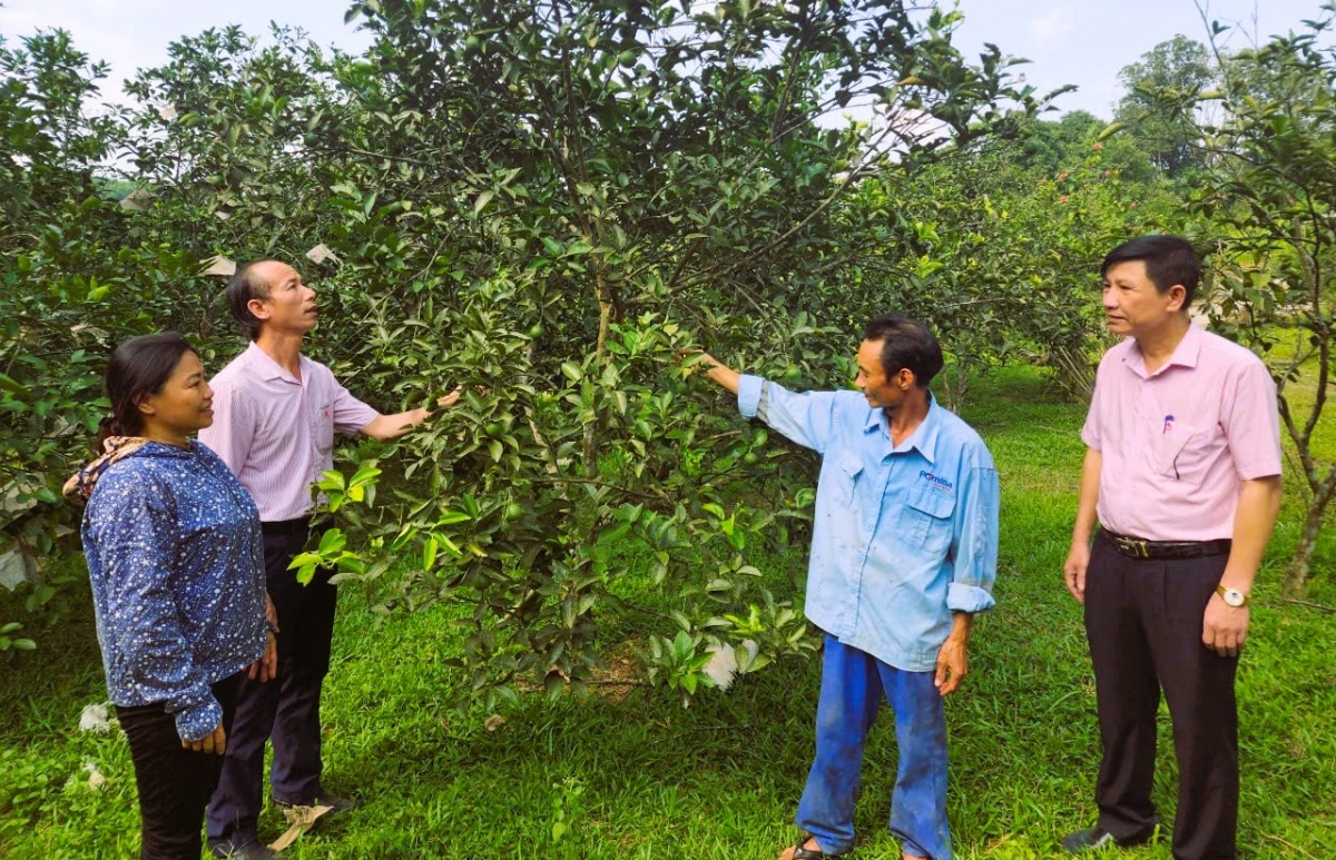 Nguồn vốn chính sách giúp nhiều hộ nghèo, cận nghèo ở Hà Tĩnh vượt qua khó khăn, khôi phục, phát triển các nghề truyền thống…