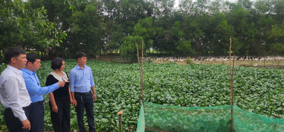 Từ sự tiếp sức của QTDND Mai Thủy, bà Võ Thị Xuân Hương ở xã Trường Phú, đã đầu tư phát triển mô hình nuôi vịt, mang lại hiệu quả kinh tế cao. Từ sự tiếp sức của QTDND Mai Thủy, bà Võ Thị Xuân Hương ở xã Trường Phú, đã đầu tư phát triển mô hình nuôi vịt, mang lại hiệu quả kinh tế cao.