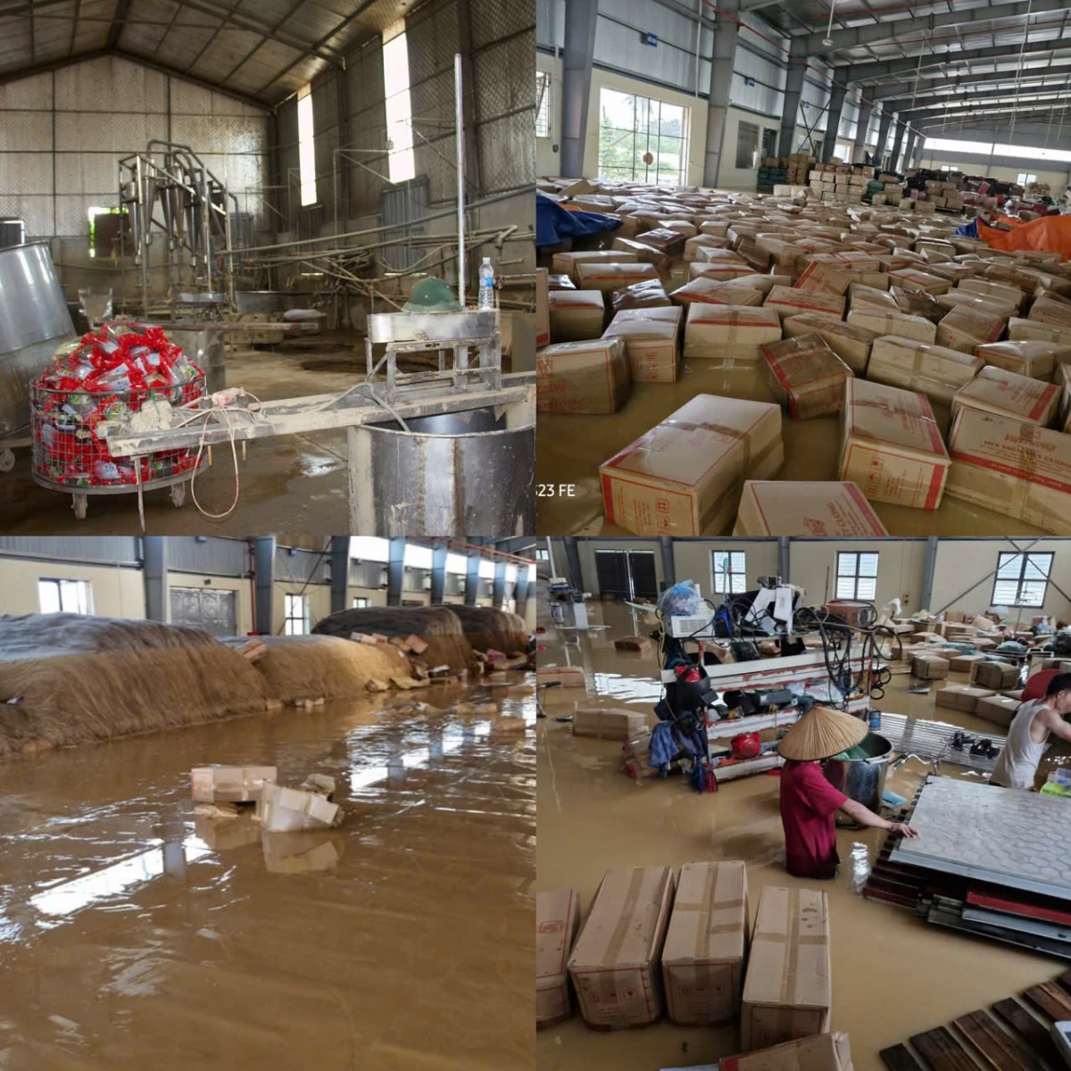 Xưởng miến của Hợp tác xã Việt Cường ngập hoàn toàn trong nước lũ Xưởng miến của Hợp tác xã Việt Cường ngập hoàn toàn trong nước lũ