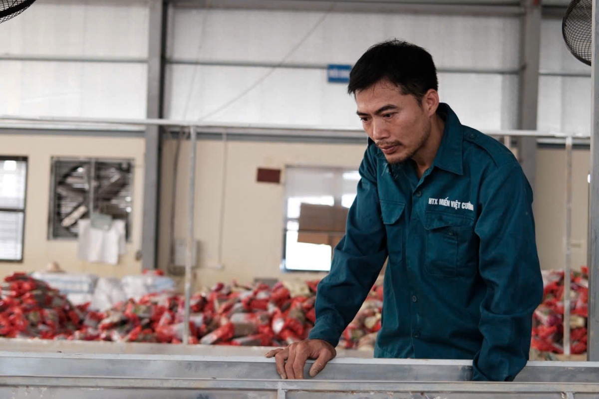 Anh Nguyễn Văn Ba, Giám đốc Hợp tác xã Việt Cường vẫn còn bần thần về những gì đang xảy ra Anh Nguyễn Văn Ba, Giám đốc Hợp tác xã Việt Cường vẫn còn bần thần về những gì đang xảy ra