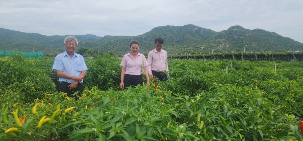 Các TCTD, tiếp tục hướng tín dụng vào sản xuất kinh doanh, lĩnh vực ưu tiên và các động lực tăng trưởng kinh tế.