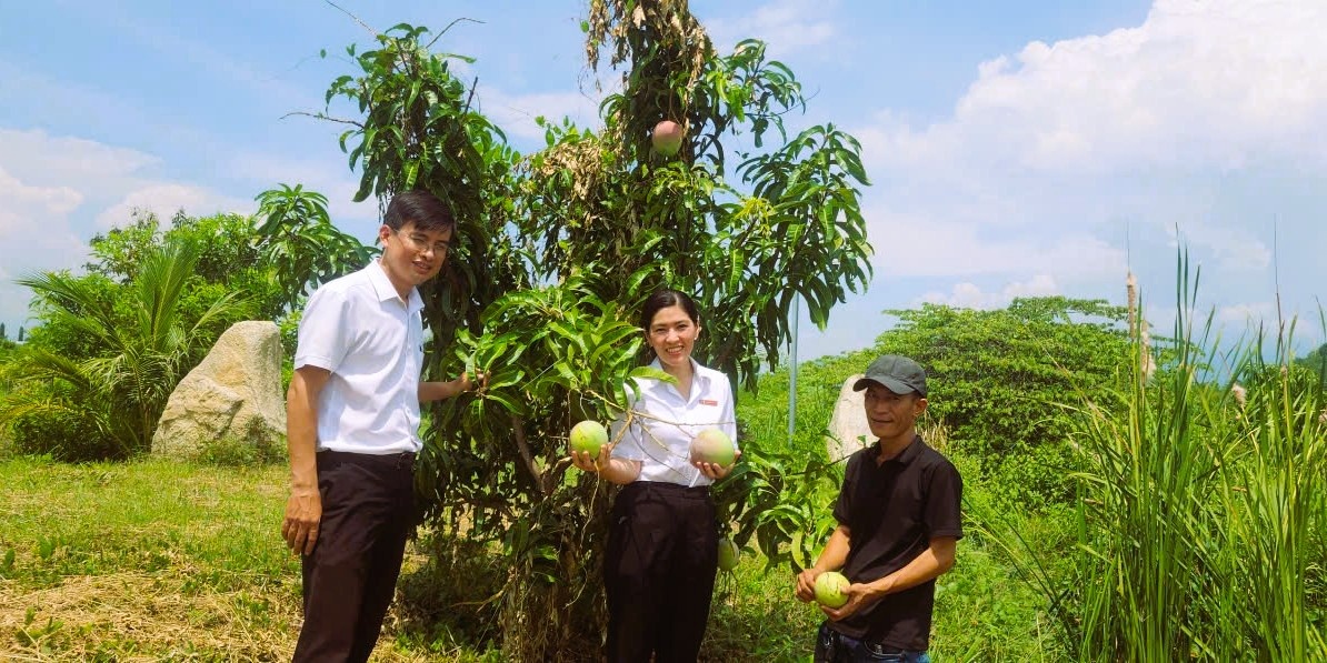 Ngân hàng tiếp sức phục hồi kinh tế Nam Trung Bộ - Tây Nguyên.