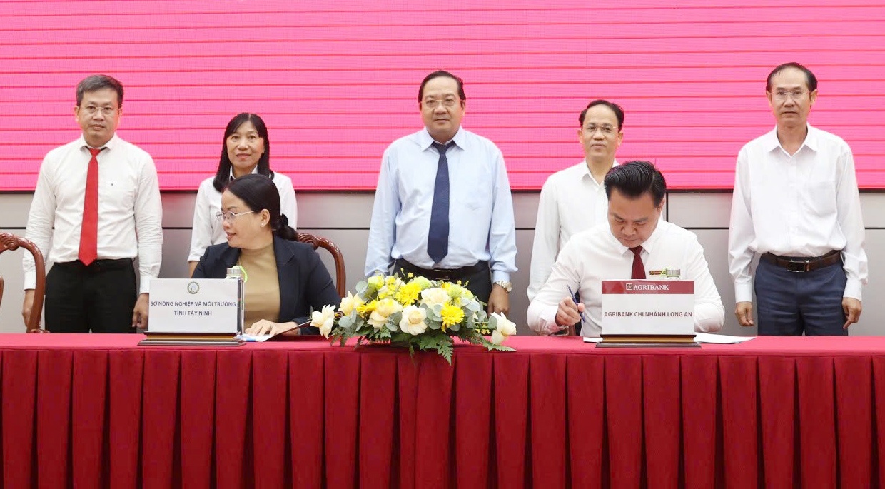 Ngân hàng liên kết với địa phương triển khai cho vay chương trình 1 triệu ha lúa phát thải thấp