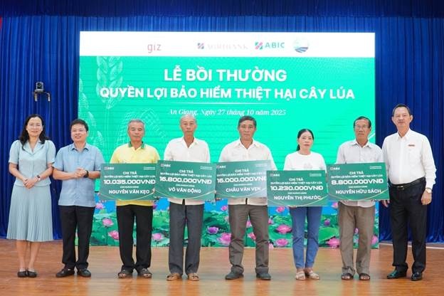 Bảo hiểm cây lúa từ ABIC giúp nông dân an tâm sản xuất
