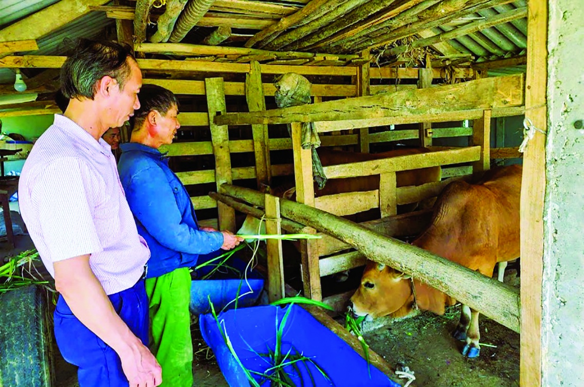 Tín dụng chính sách - điểm tựa cho nhiều người dân nghèo và các đối tượng chính sách khác ở Hà Tĩnh