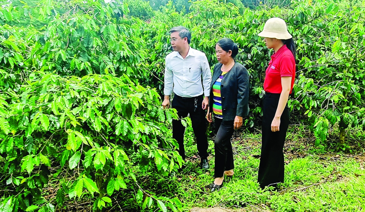 Công tác khuyến nông đóng vai trò thiết thực trong việc giúp thu hẹp khoảng cách giữa nông dân với tri thức và thị trường Công tác khuyến nông đóng vai trò thiết thực trong việc giúp thu hẹp khoảng cách giữa nông dân với tri thức và thị trường