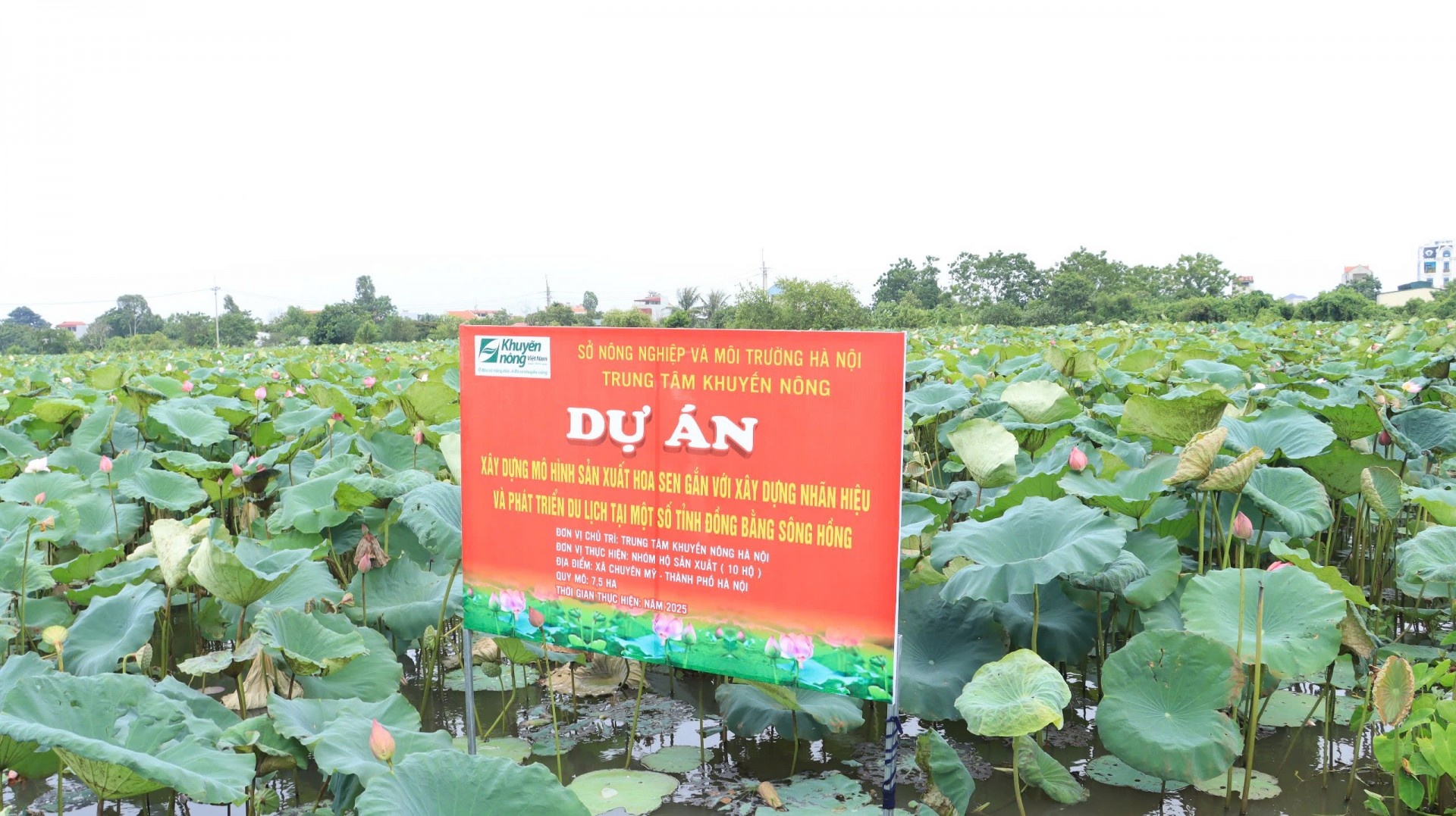 yêu cầu đẩy nhanh tiến độ giải ngân vốn đầu tư công năm 2025 trong lĩnh vực nông nghiệp và phát triển nông thôn yêu cầu đẩy nhanh tiến độ giải ngân vốn đầu tư công năm 2025 trong lĩnh vực nông nghiệp và phát triển nông thôn