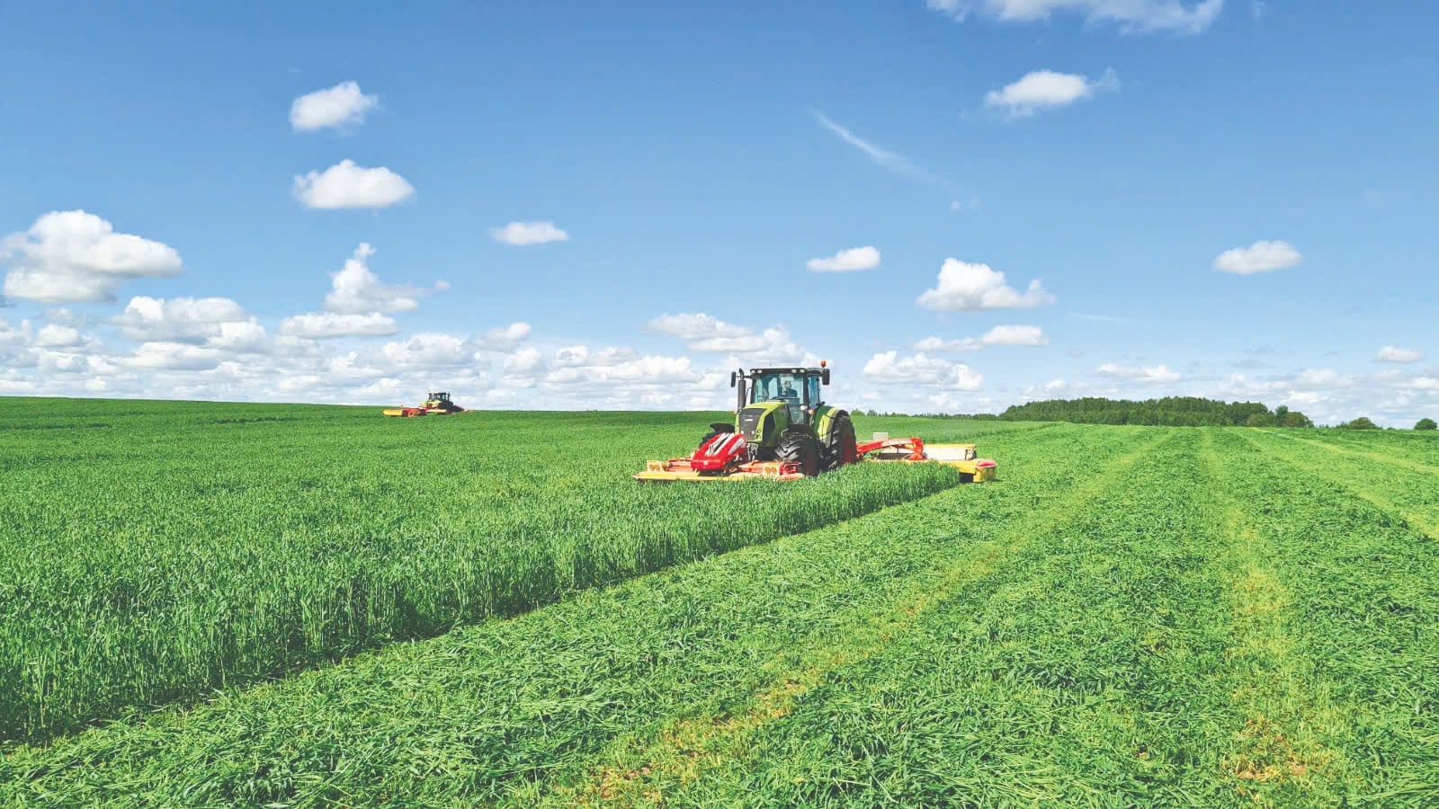 Những cánh đồng nguyên liệu thức ăn cho bò sữa của Tập đoàn TH đã phủ xanh nhiều mảnh đất hoang hóa tại các tỉnh của Nga