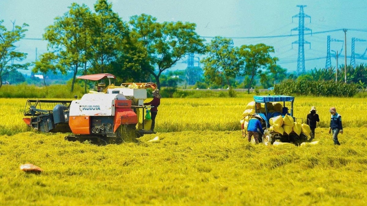 Ngành Nông nghiệp và Môi trường luôn giữ vai trò trụ đỡ của nền kinh tế Ngành Nông nghiệp và Môi trường luôn giữ vai trò trụ đỡ của nền kinh tế